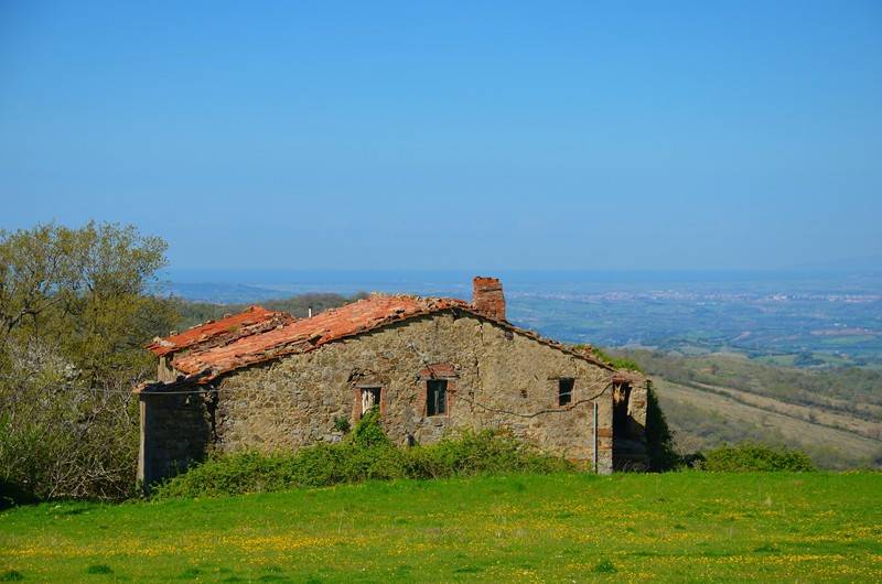 Rustico / casale a Arcidosso - Foto 4