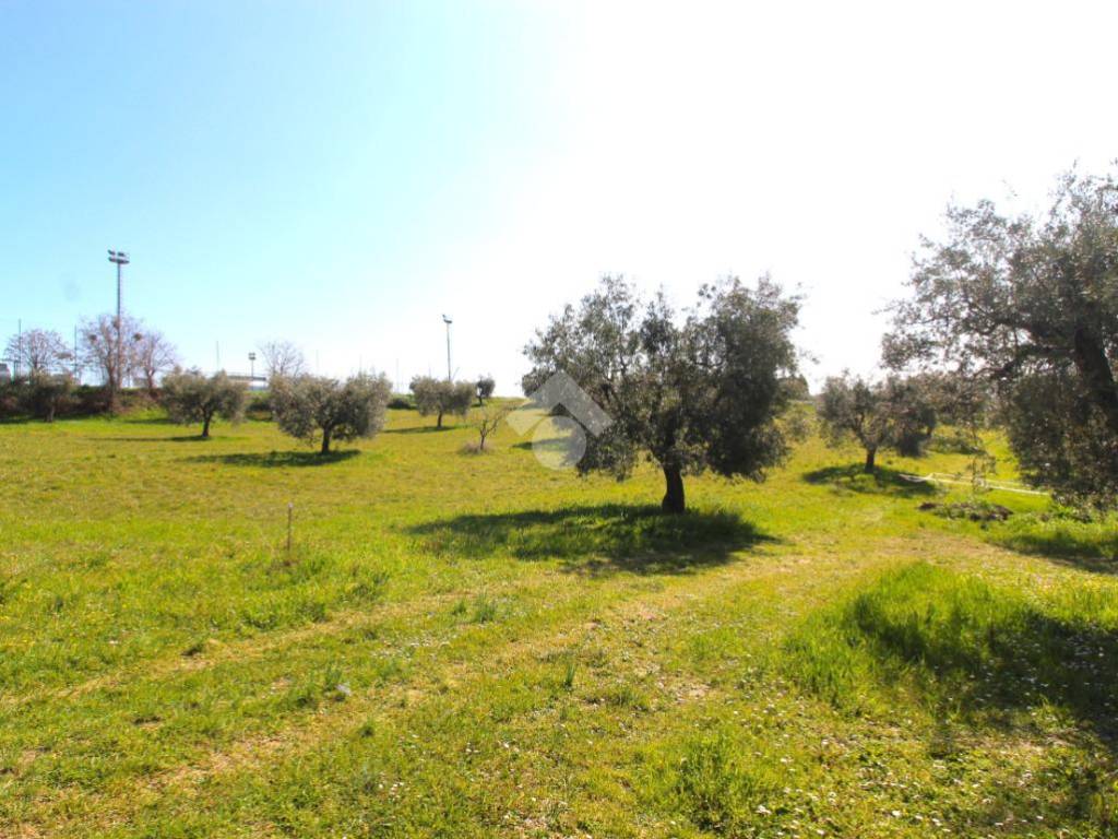Terreno a Controguerra in Via San Rocco, 1 - Foto 3
