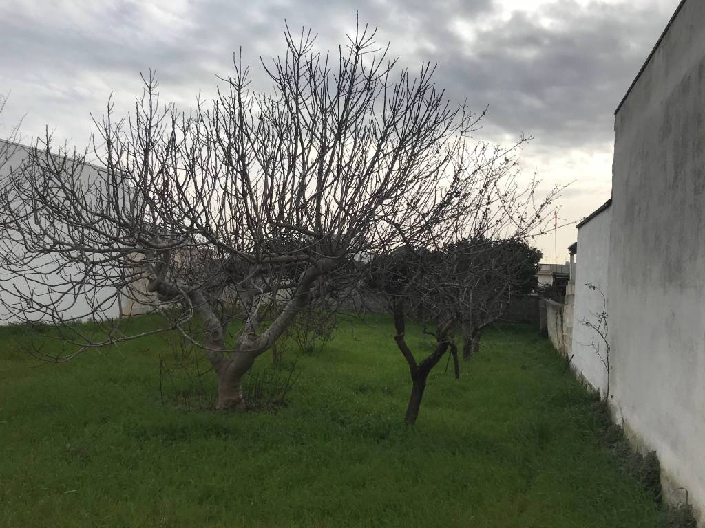 Terreno a Veglie in Via Madonna dell'Iconella, 32 - Foto 3