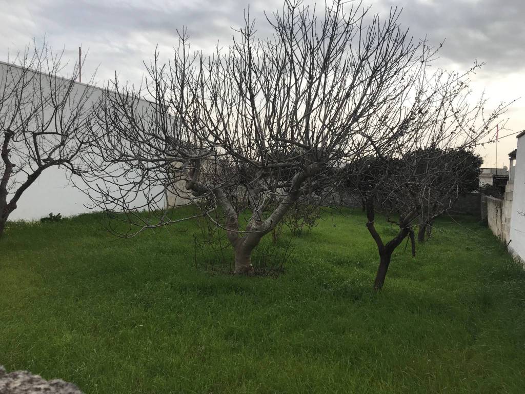 Terreno a Veglie in Via Madonna dell'Iconella, 32 - Foto 4