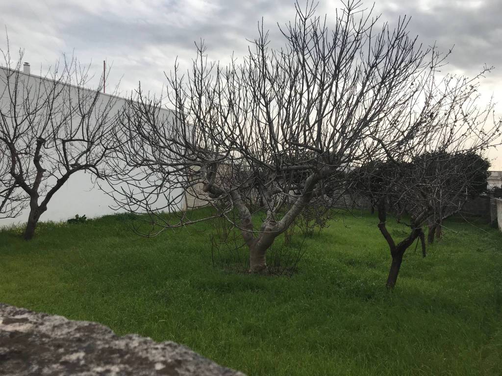 Terreno a Veglie in Via Madonna dell'Iconella, 32 - Foto 5