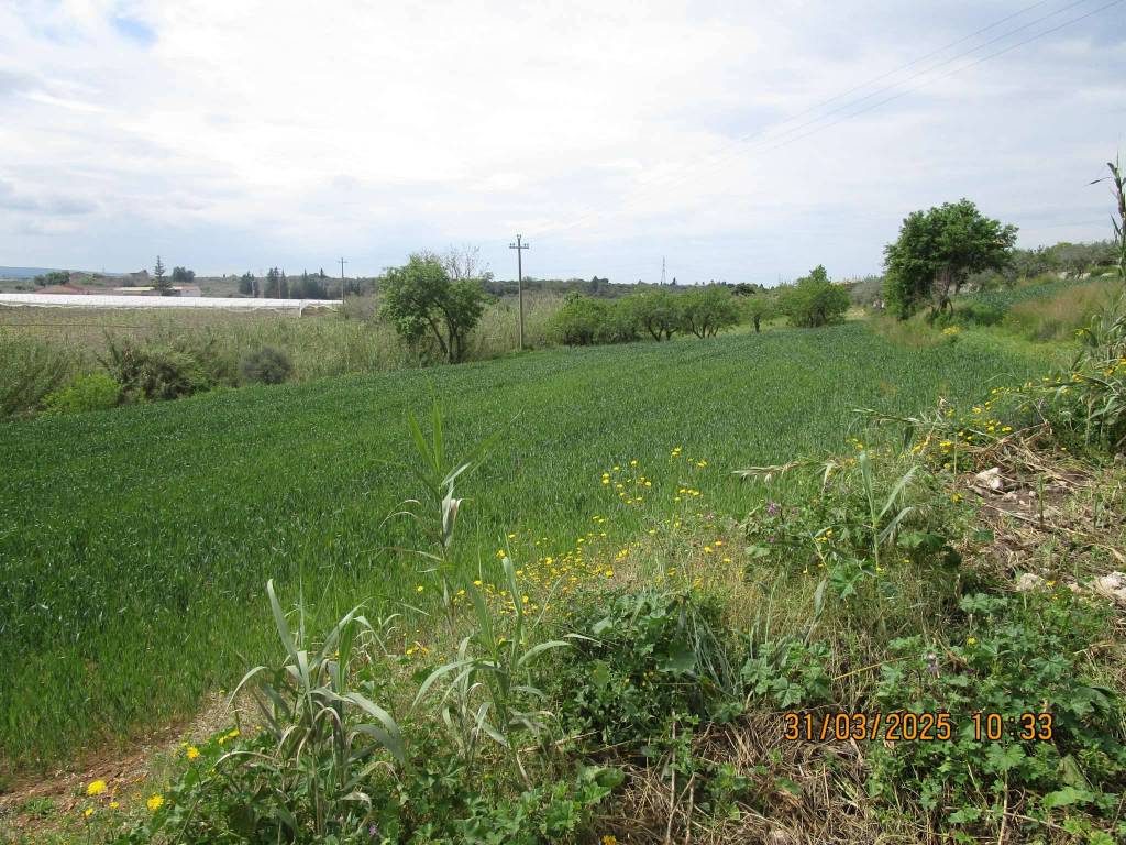 Terreno a Chiaramonte gulfi in contrada Gona - Foto 4