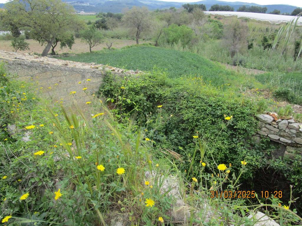 Terreno a Chiaramonte gulfi in contrada Gona - Foto 5