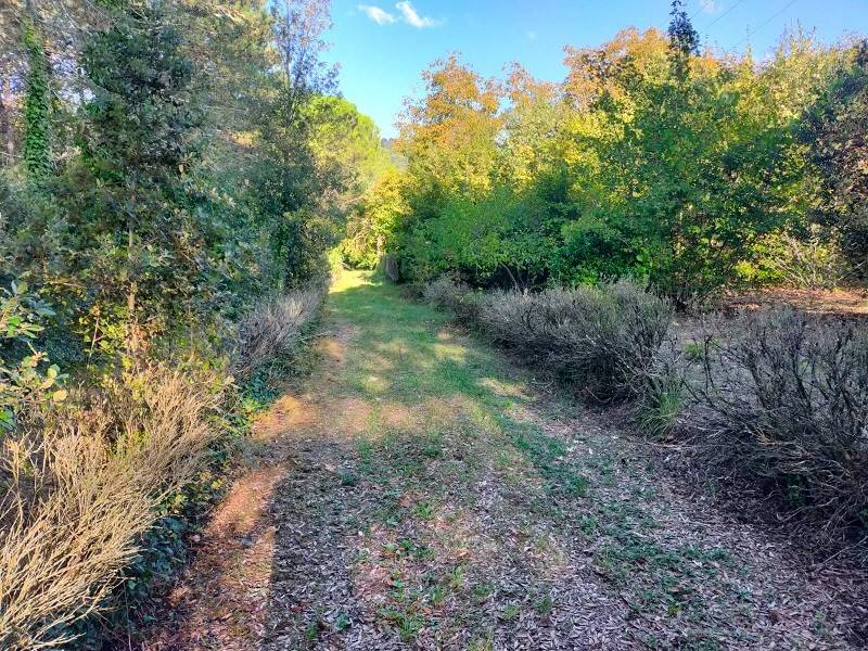 Villa a Poppi - Foto 4