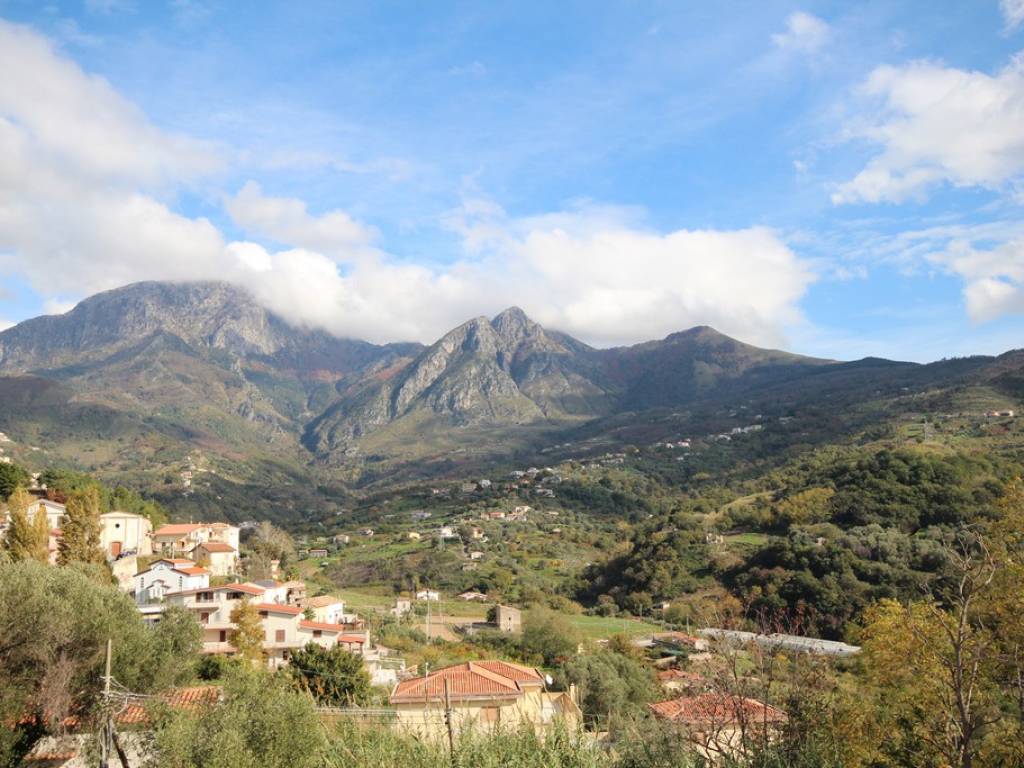 Appartamento a Belvedere marittimo in Via Antonio Pepe - Foto 5