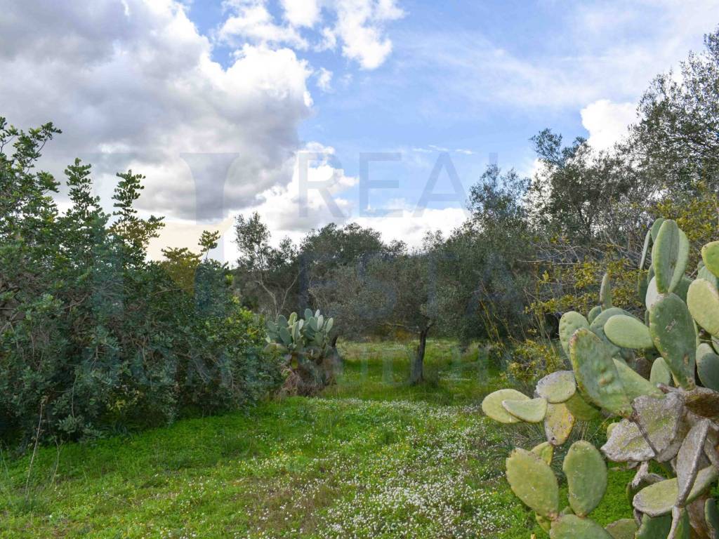 Rustico / casale a Noto in Contrada Fiumara - Foto 2