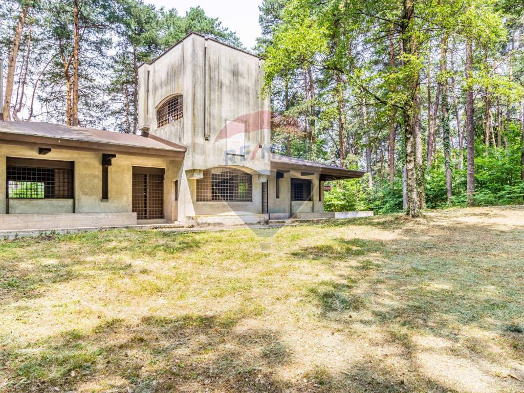 Casa indipendente a Golasecca in via Cesare Battisti angolo Via Petrarca - Foto 3