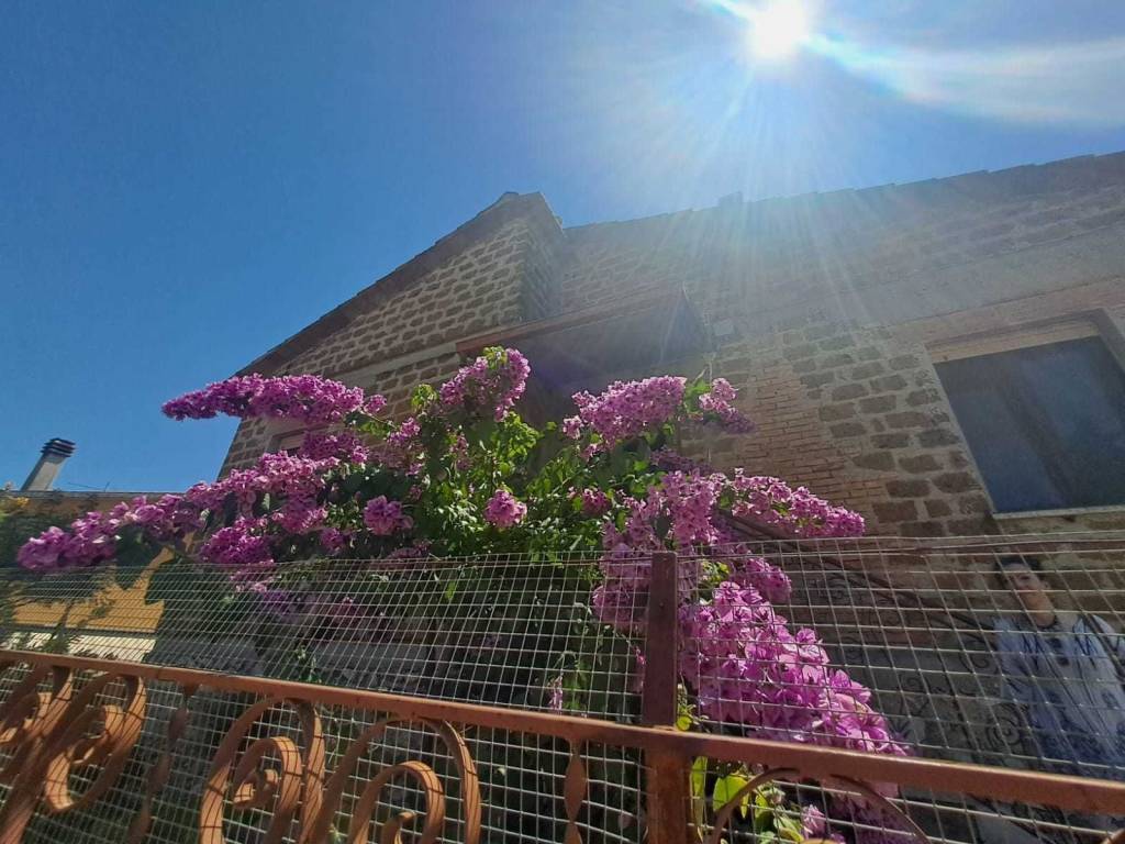 Villa a Amelia in via delle rimembranze, 45 - Foto 5