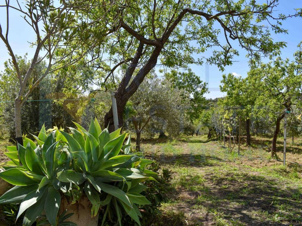 Rustico / casale a Noto in Via Tommaso Fazello, 228 - Foto 3