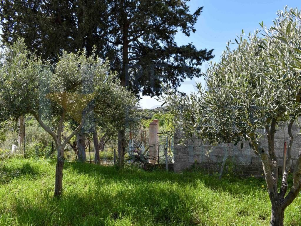 Rustico / casale a Noto in Via Tommaso Fazello, 228 - Foto 4