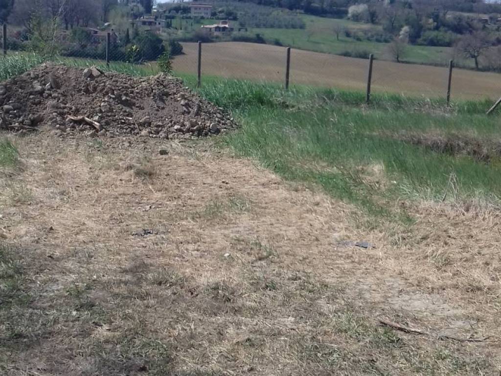 Terreno a Amelia - Foto 4
