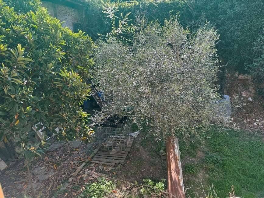 Villetta a schiera a Serravalle sesia in via baranzano, 8 - Foto 5