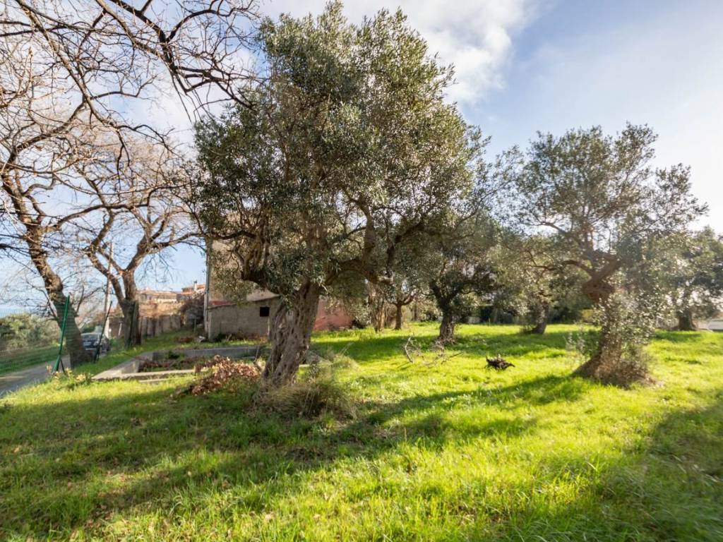 Terreno a Pescara in strada vicinale colle cervone - Foto 3