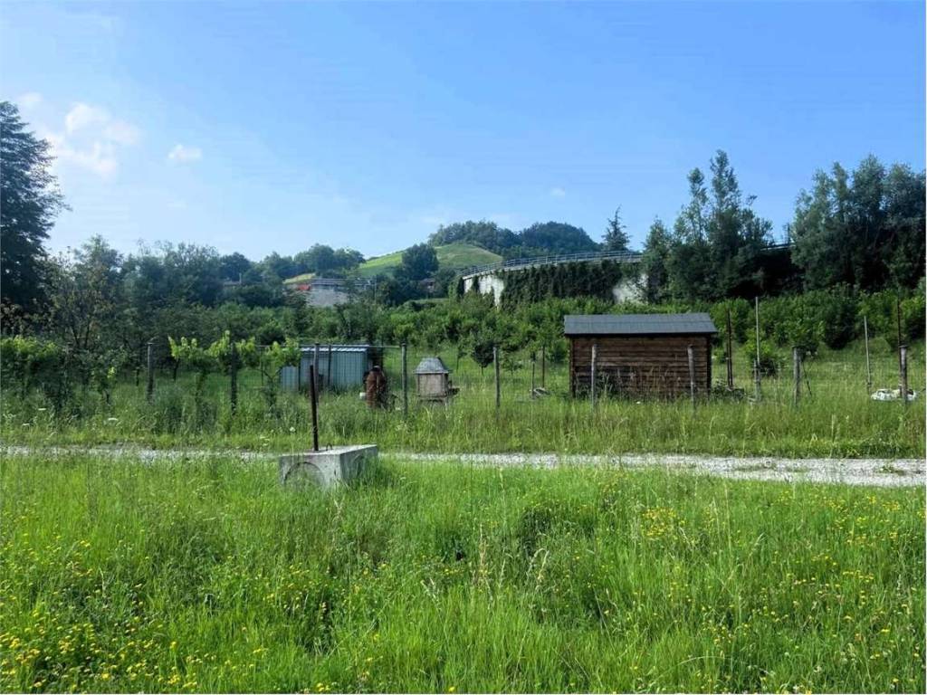 Rustico / casale a Casina in Via Aldo Moro, 36 - Foto 2