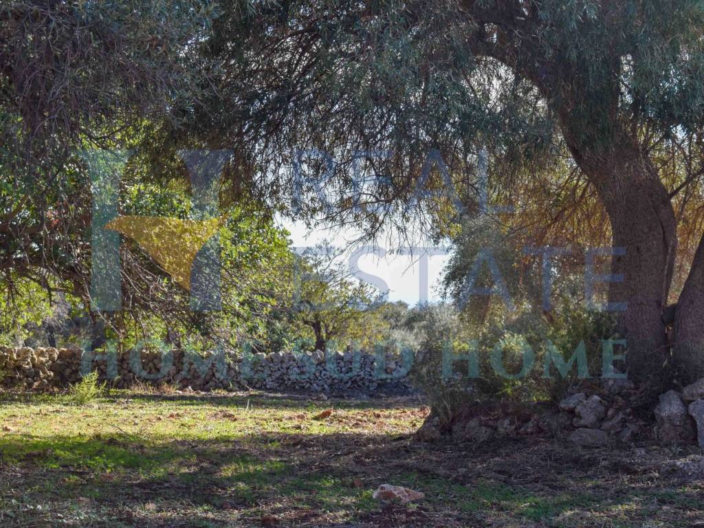 Villa a Noto in Via Tommaso Fazello, 228 - Foto 3
