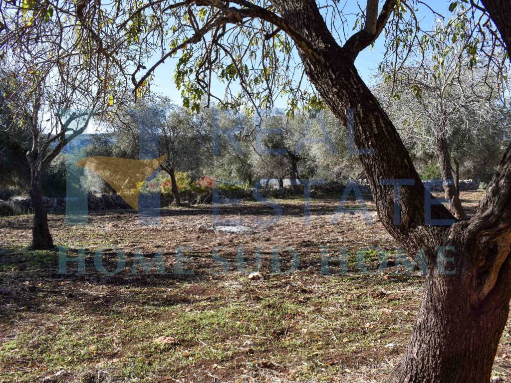 Villa a Noto in Via Tommaso Fazello, 228 - Foto 4