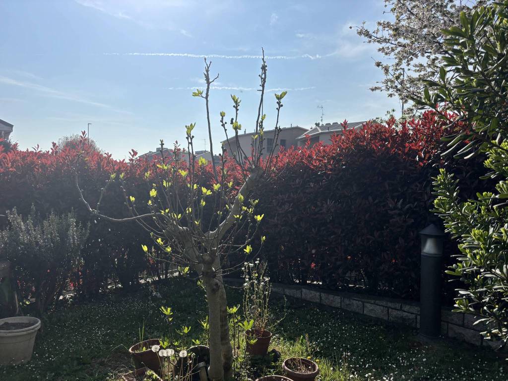 Appartamento a Bornasco in Via del Borgo, 5 - Foto 4