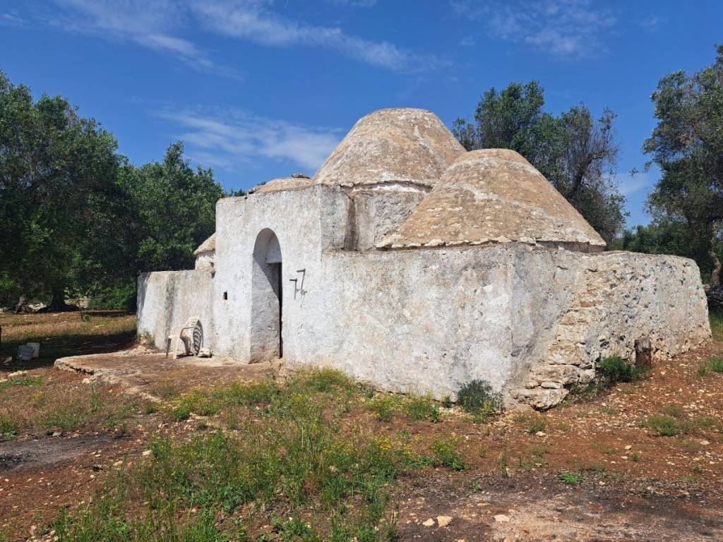 Rustico / casale a Francavilla fontana in Contrada Difesa - Foto 4