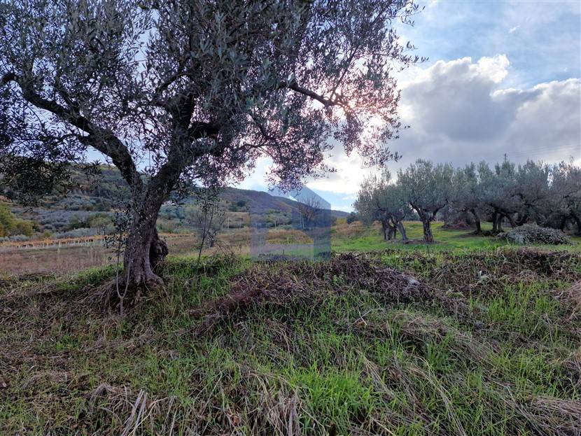 Terreno a Archi in Via Roma - Foto 5