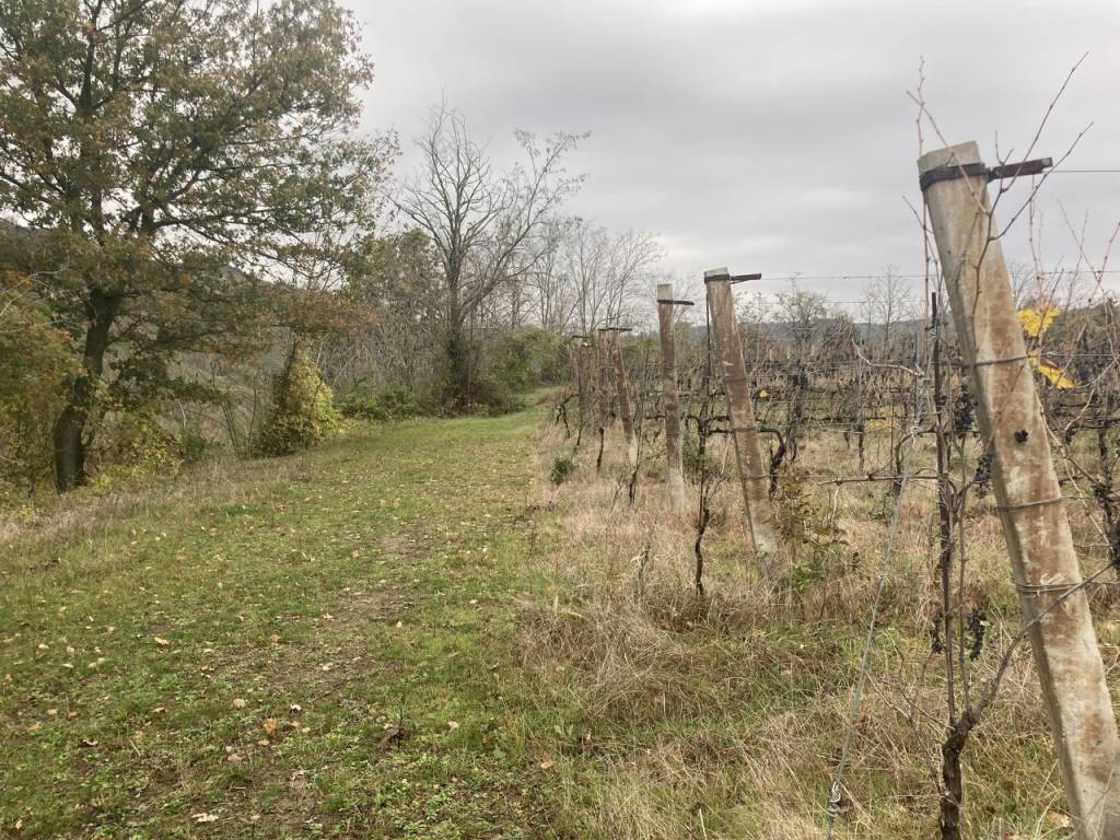 Terreno a Riolo terme - Foto 3