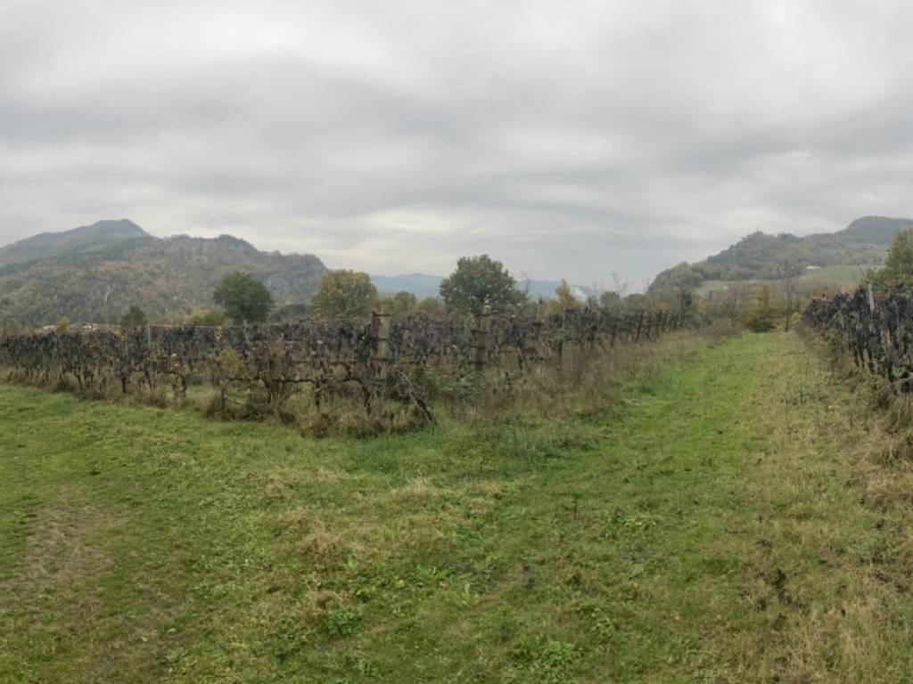 Terreno a Riolo terme - Foto 5