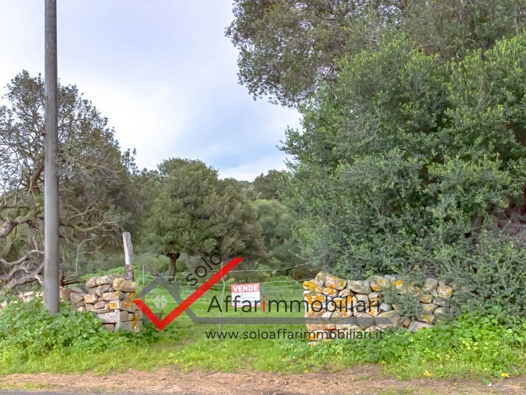 Terreno a Loiri porto san paolo in Via Vincenzo Gioberti - Foto 3