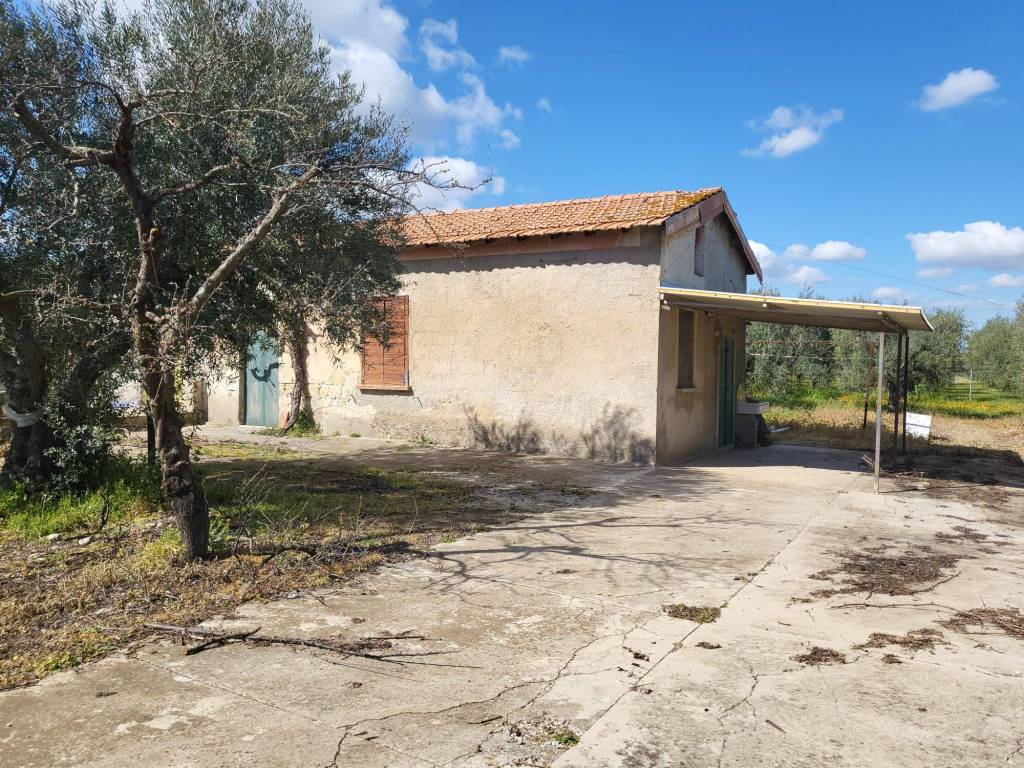 Villa a Andria in Viale dei Condottieri - Foto 2