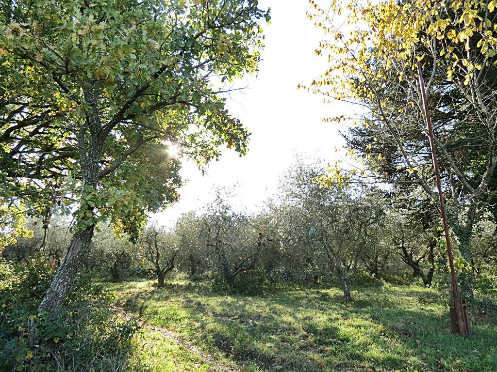 Rustico / casale a Orvieto in Località Colle Ombroso - Foto 2
