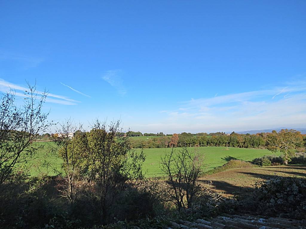 Rustico / casale a Orvieto in Località Colle Ombroso - Foto 3