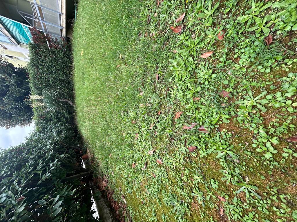 Appartamento a Castelnuovo magra in Via Torrente, 1 - Foto 4