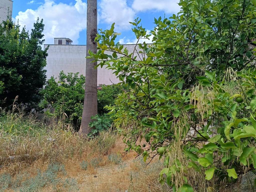 Terreno a Scorrano in Via Duca Carlo Guarini, 9 - Foto 2