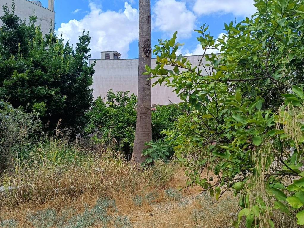 Terreno a Scorrano in Via Duca Carlo Guarini, 9 - Foto 3