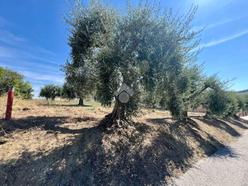 Terreno a Campli in Via Della Madonna - Foto 2
