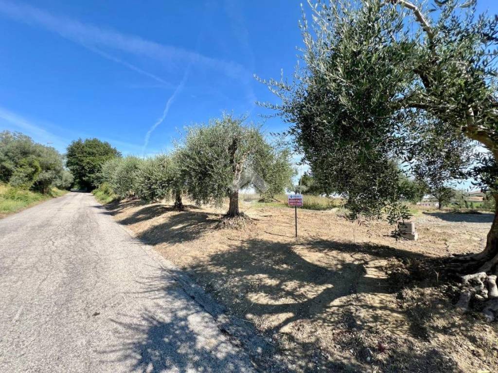 Terreno a Campli in Via Della Madonna - Foto 3