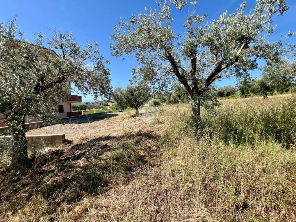 Terreno a Campli in Via Della Madonna - Foto 4