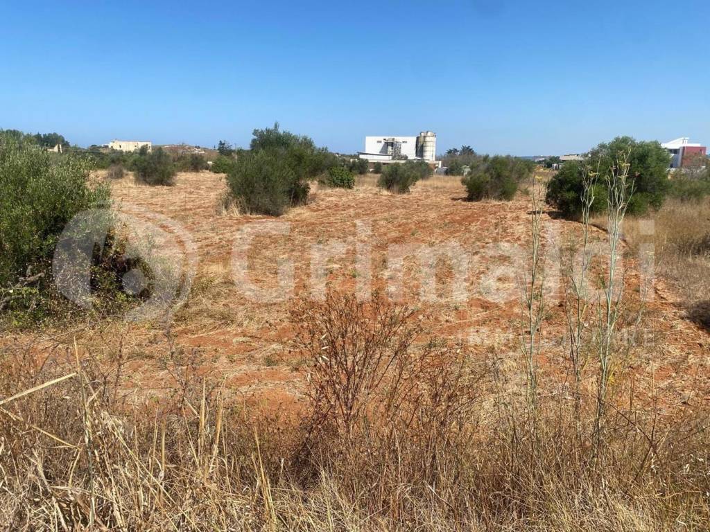 Terreno a Gallipoli in strada provinciale 52, 0 - Foto 2