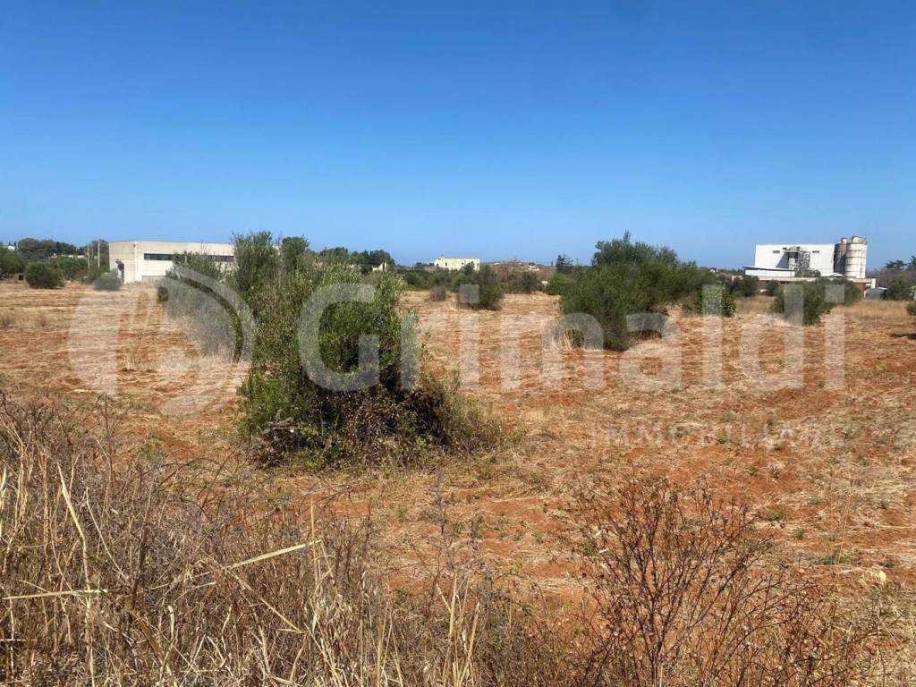 Terreno a Gallipoli in strada provinciale 52, 0 - Foto 3