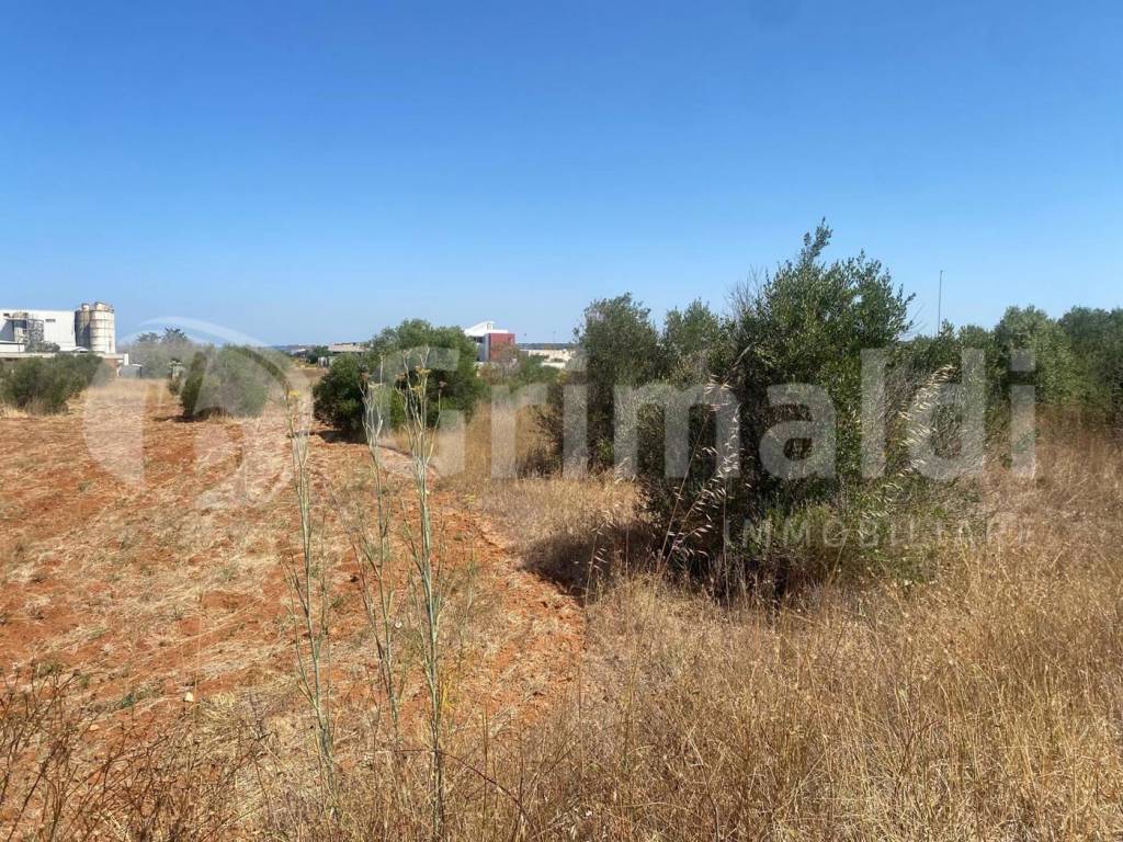 Terreno a Gallipoli in strada provinciale 52, 0 - Foto 4