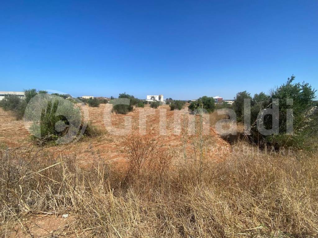 Terreno a Gallipoli in strada provinciale 52, 0 - Foto 5