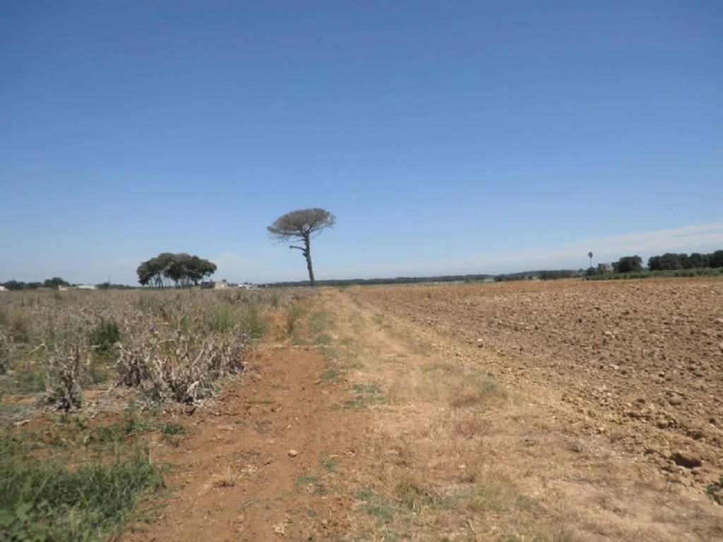 Terreno a Brindisi in Strada Statale 16 - Foto 3