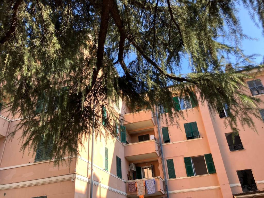 Appartamento a Novi ligure in Via Ramiro Ginocchio, 18 - Foto 3