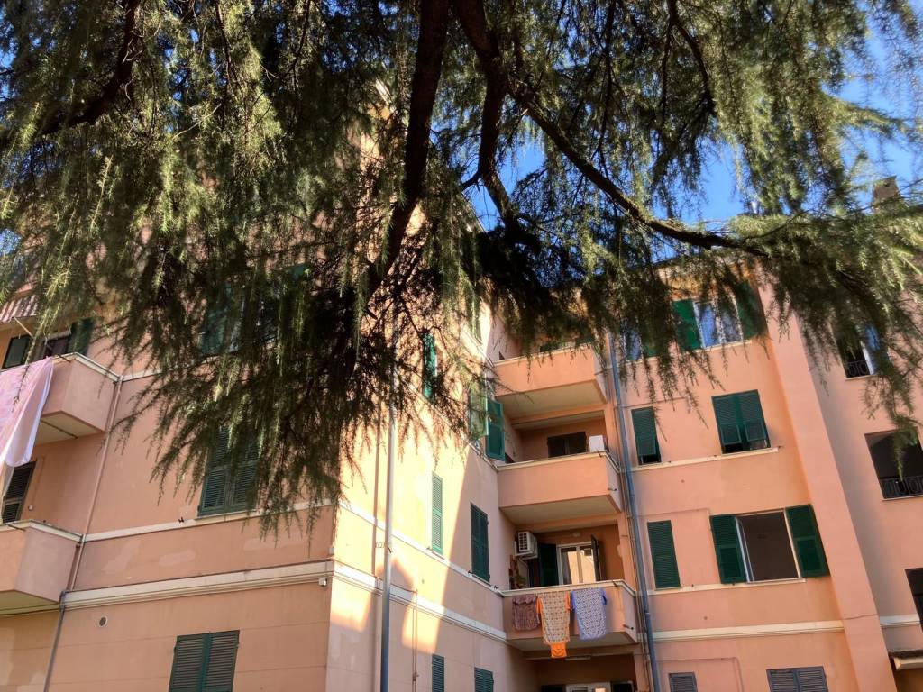 Appartamento a Novi ligure in Via Ramiro Ginocchio, 18 - Foto 4