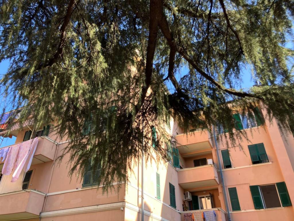 Appartamento a Novi ligure in Via Ramiro Ginocchio, 18 - Foto 5