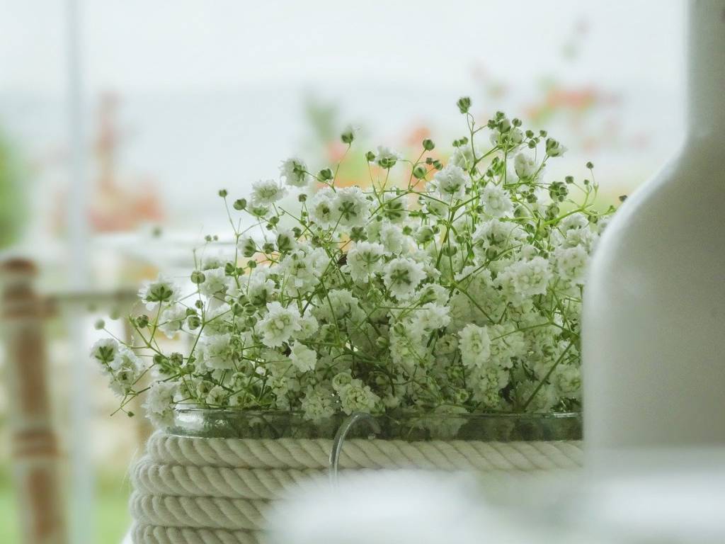 Immobile a Cervia - Foto 3