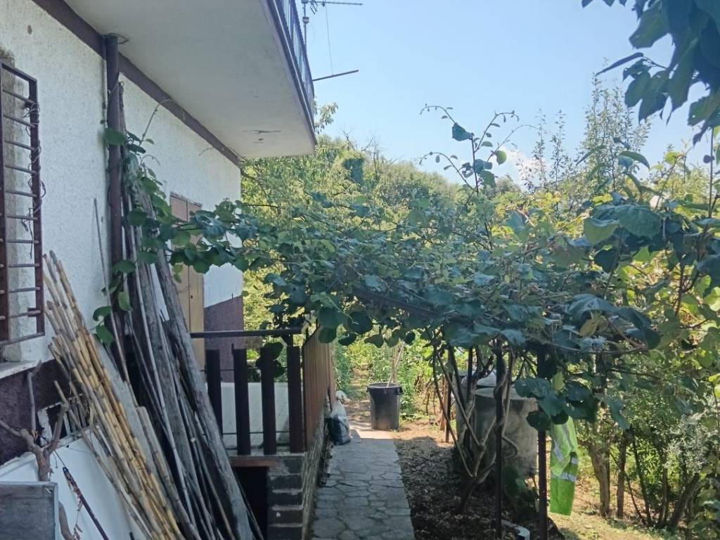 Villa a Paliano - Foto 5