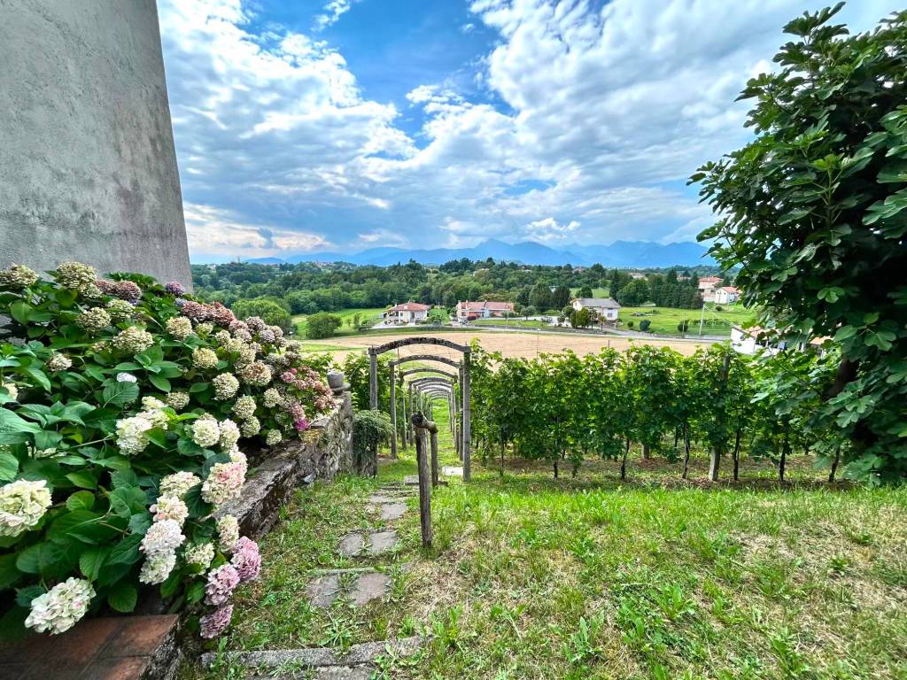 Villa a Cassacco in Via Borgo di Sopra, 10 - Foto 4