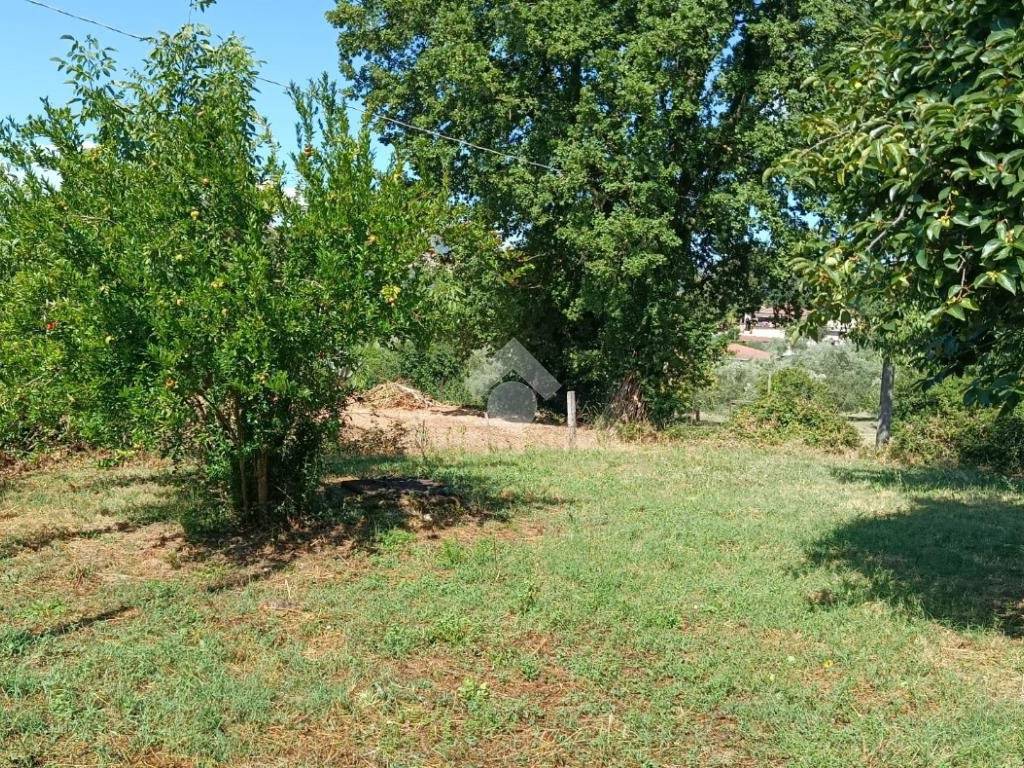 Rustico / casale a Alatri in VIA CASALE ALTO - Foto 5