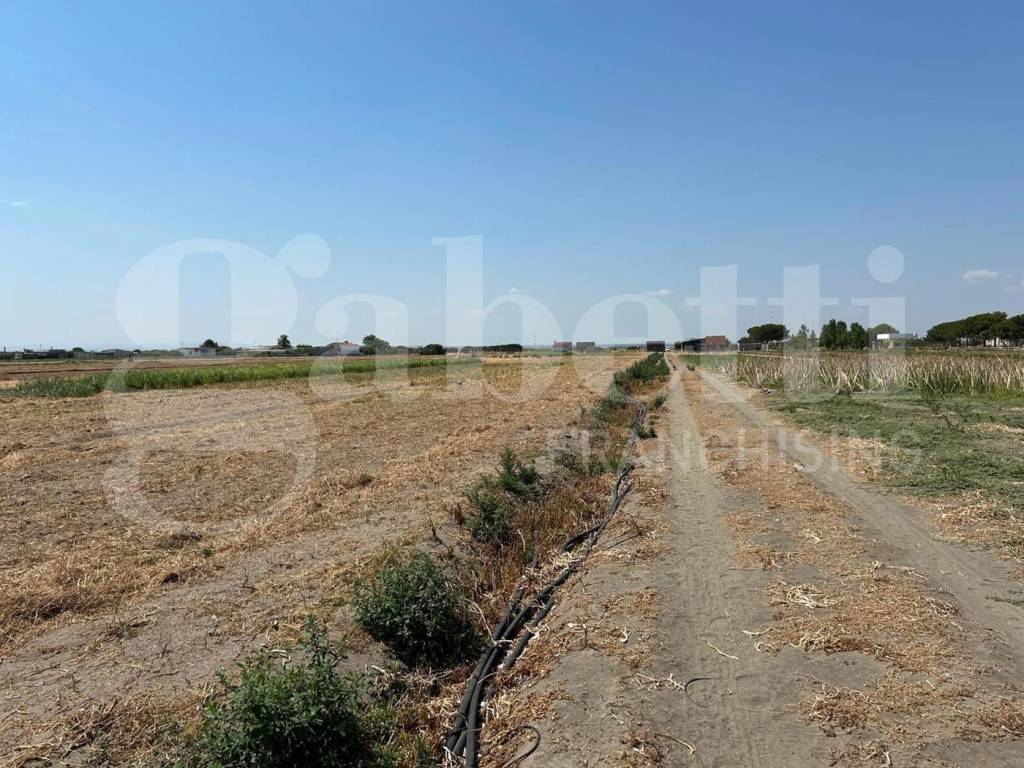 Casa indipendente a Margherita di savoia in STRADA PROVINCIALE 141, SNC - Foto 4