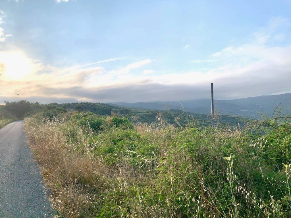 Terreno a Dolcedo in Strada Provinciale Civezza-Santa Brigida - Foto 3