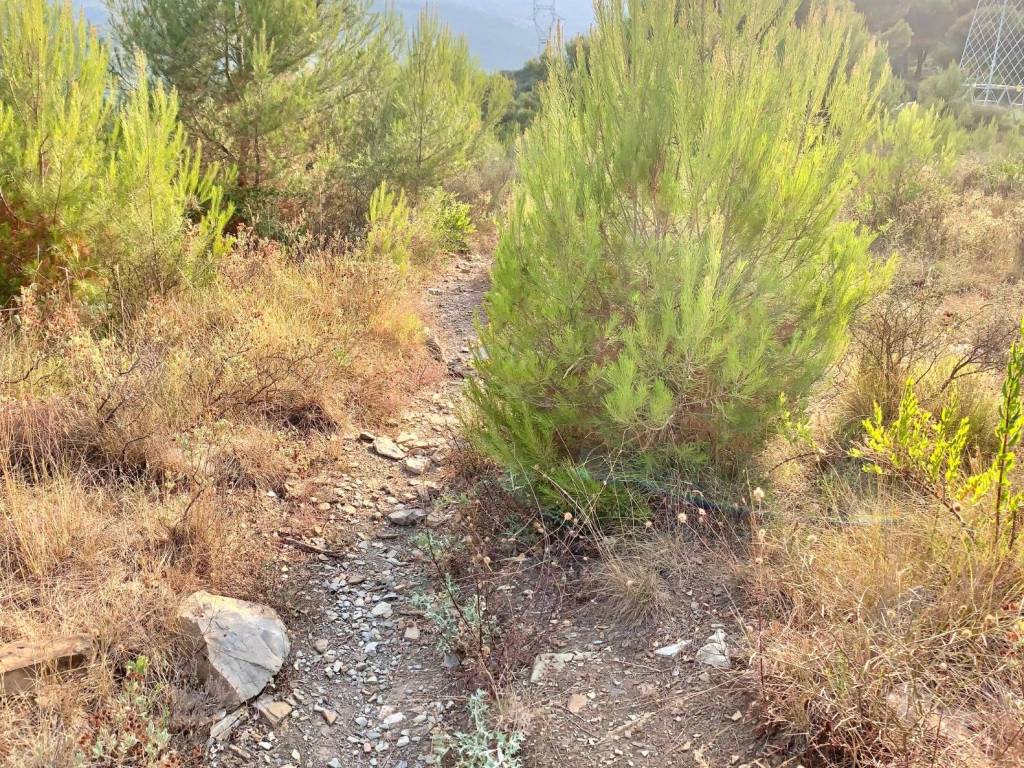 Terreno a Dolcedo in Strada Provinciale Civezza-Santa Brigida - Foto 5